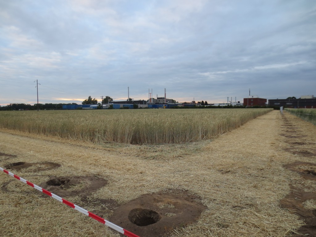 südliche Pfosten, die wieder abgebaut werden müssen