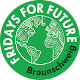 Fridays For Future Braunschweig