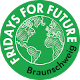 FridaysForFuture Braunschweig